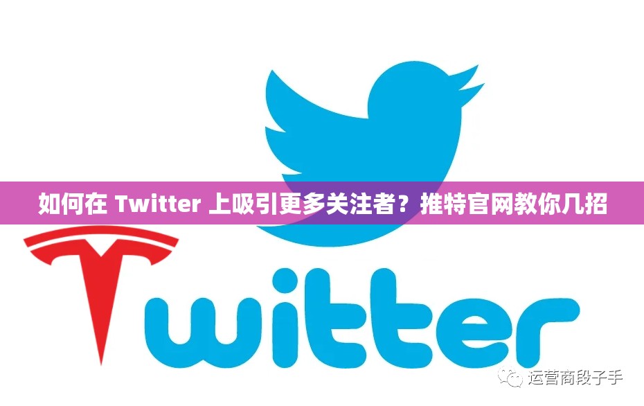 如何在 Twitter 上吸引更多关注者？推特官网教你几招