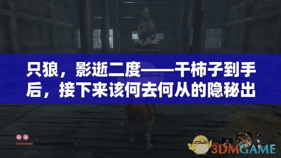 只狼，影逝二度——干柿子到手后，接下来该何去何从的隐秘出路揭秘？