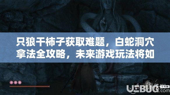 只狼干柿子获取难题，白蛇洞穴拿法全攻略，未来游戏玩法将如何革命？