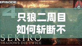 只狼二周目如何斩断不死线？通关攻略视频演变史大揭秘！