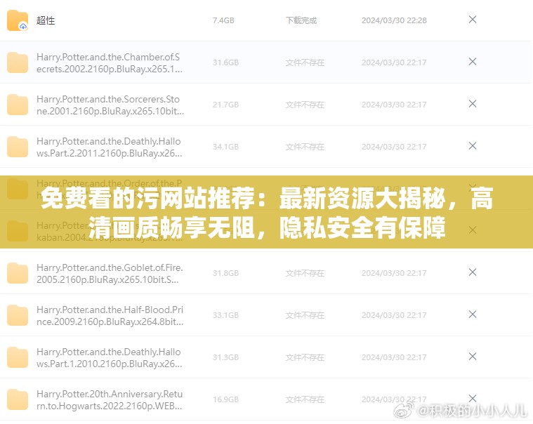 免费看的污网站推荐：最新资源大揭秘，高清画质畅享无阻，隐私安全有保障