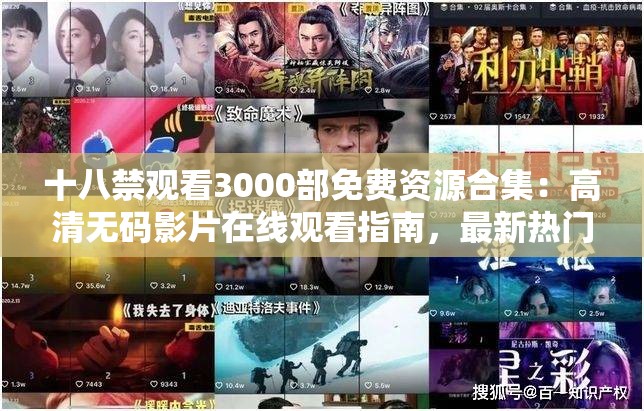 十八禁观看3000部免费资源合集：高清无码影片在线观看指南，最新热门电影电视剧一网打尽