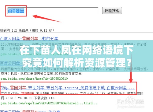 在下苗人凤在网络语境下究竟如何解析资源管理？
