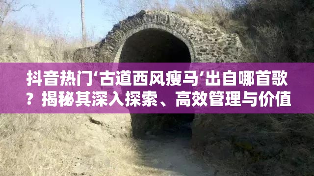 抖音热门‘古道西风瘦马’出自哪首歌？揭秘其深入探索、高效管理与价值最大化之道