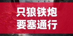 只狼铁炮要塞通行秘籍，如何高效管理资源并掌握通关技巧与策略？