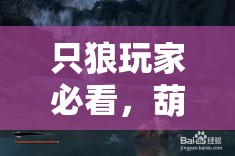 只狼玩家必看，葫芦种子全收集与演变历程中隐藏的秘密？