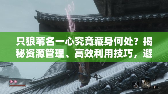 只狼苇名一心究竟藏身何处？揭秘资源管理、高效利用技巧，避免战斗资源浪费之谜