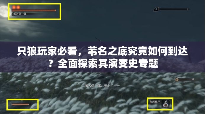 只狼玩家必看，苇名之底究竟如何到达？全面探索其演变史专题