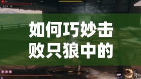 如何巧妙击败只狼中的苇名弦一郎？战斗策略与技巧全面揭秘！