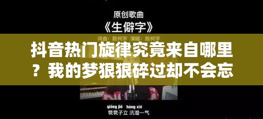 抖音热门旋律究竟来自哪里？我的梦狠狠碎过却不会忘出自何方神曲？