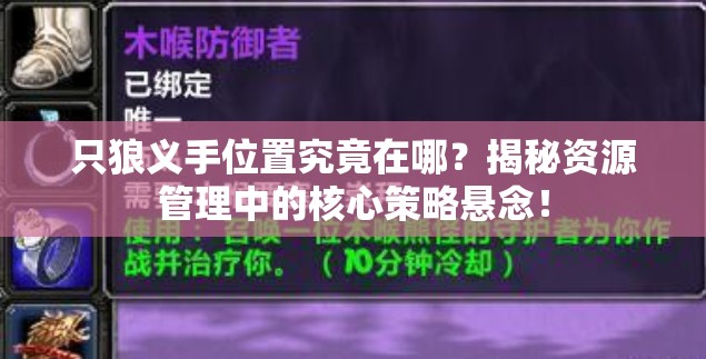 只狼义手位置究竟在哪？揭秘资源管理中的核心策略悬念！