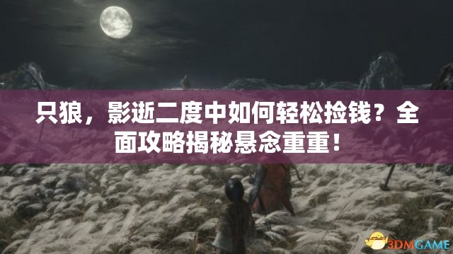 只狼，影逝二度中如何轻松捡钱？全面攻略揭秘悬念重重！