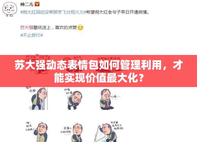 苏大强动态表情包如何管理利用，才能实现价值最大化？