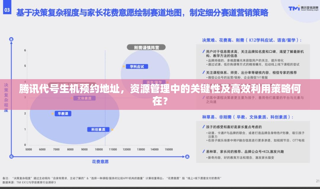 腾讯代号生机预约地址，资源管理中的关键性及高效利用策略何在？