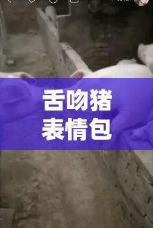 舌吻猪表情包，从起源到风靡，背后有何惊人演变史？