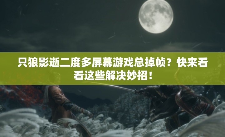 只狼影逝二度多屏幕游戏总掉帧？快来看看这些解决妙招！