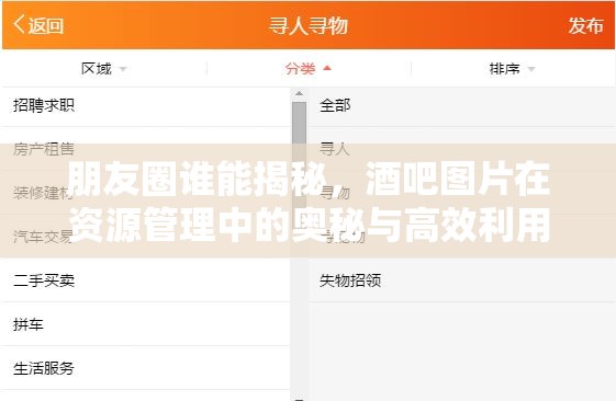 朋友圈谁能揭秘，酒吧图片在资源管理中的奥秘与高效利用策略？