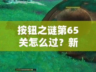 按钮之谜第65关怎么过？新手到精通全面解析图文攻略揭秘！