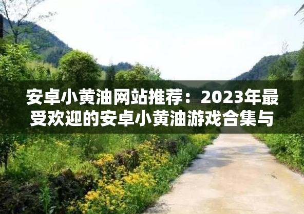 安卓小黄油网站推荐：2023年最受欢迎的安卓小黄油游戏合集与下载指南