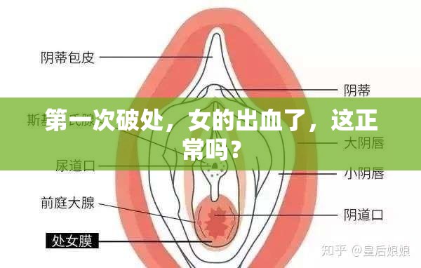 第一次破处，女的出血了，这正常吗？