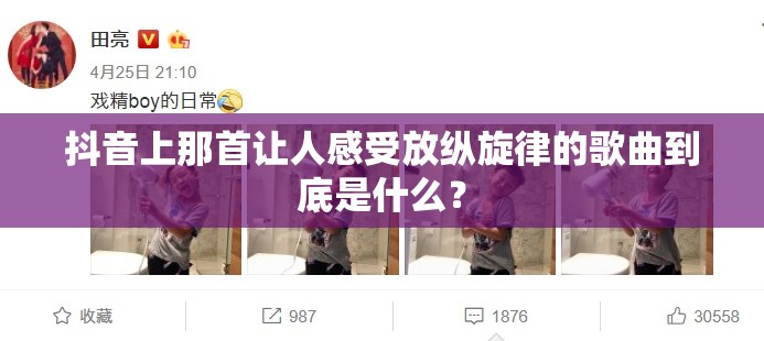 抖音上那首让人感受放纵旋律的歌曲到底是什么？