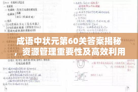 成语中状元第60关答案揭秘，资源管理重要性及高效利用策略何在？