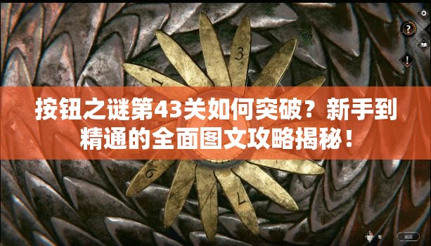 按钮之谜第43关如何突破？新手到精通的全面图文攻略揭秘！