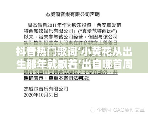 抖音热门歌词‘小黄花从出生那年就飘着’出自哪首周杰伦经典？揭秘晴天背后故事