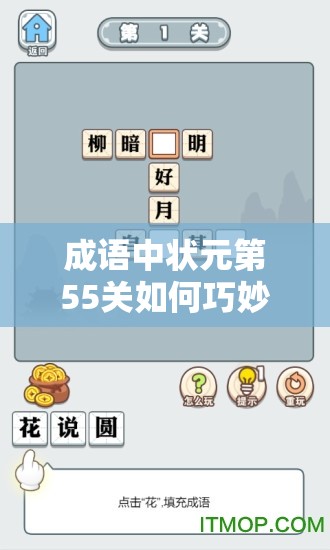 成语中状元第55关如何巧妙解锁，智慧之门背后隐藏着哪些难题？