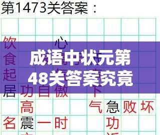 成语中状元第48关答案究竟如何？智慧与策略面临终极考验！