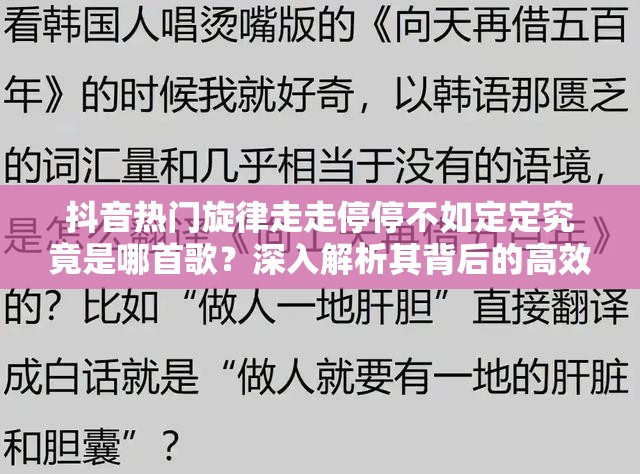 抖音热门旋律走走停停不如定定究竟是哪首歌？深入解析其背后的高效管理策略