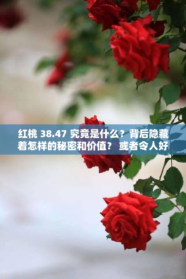 红桃 38.47 究竟是什么？背后隐藏着怎样的秘密和价值？ 或者令人好奇的红桃 38.47，它在特定领域有着何种特殊意义？