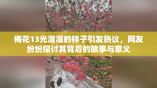 梅花13光溜溜的样子引发热议，网友纷纷探讨其背后的故事与意义