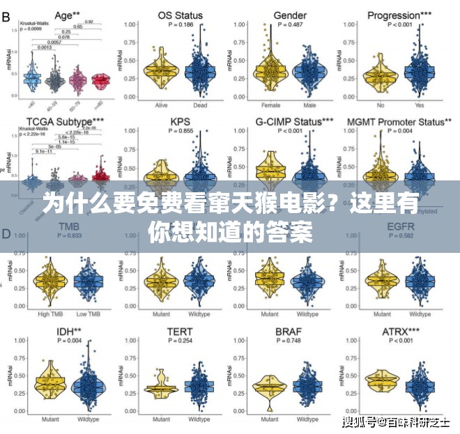 为什么要免费看窜天猴电影？这里有你想知道的答案