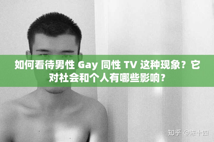 如何看待男性 Gay 同性 TV 这种现象？它对社会和个人有哪些影响？