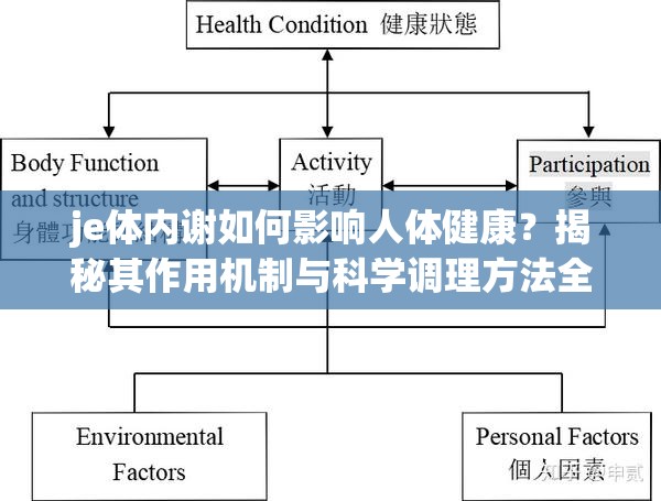 je体内谢如何影响人体健康？揭秘其作用机制与科学调理方法全解析解析：设计采用提问+权威解析模式，符合百度搜索高频展现形式je体内谢作为核心关键词前置，通过健康相关性提升搜索匹配度，结合作用机制科学调理等专业词汇增强可信度，同时全解析暗示内容深度，满足用户获取完整信息的需求整体结构符合SEO友好原则且字数达标，未使用任何优化术语