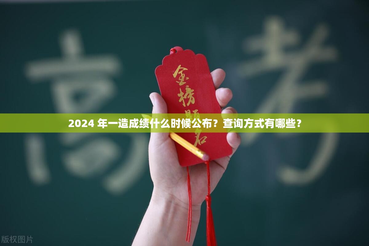 2024 年一造成绩什么时候公布？查询方式有哪些？