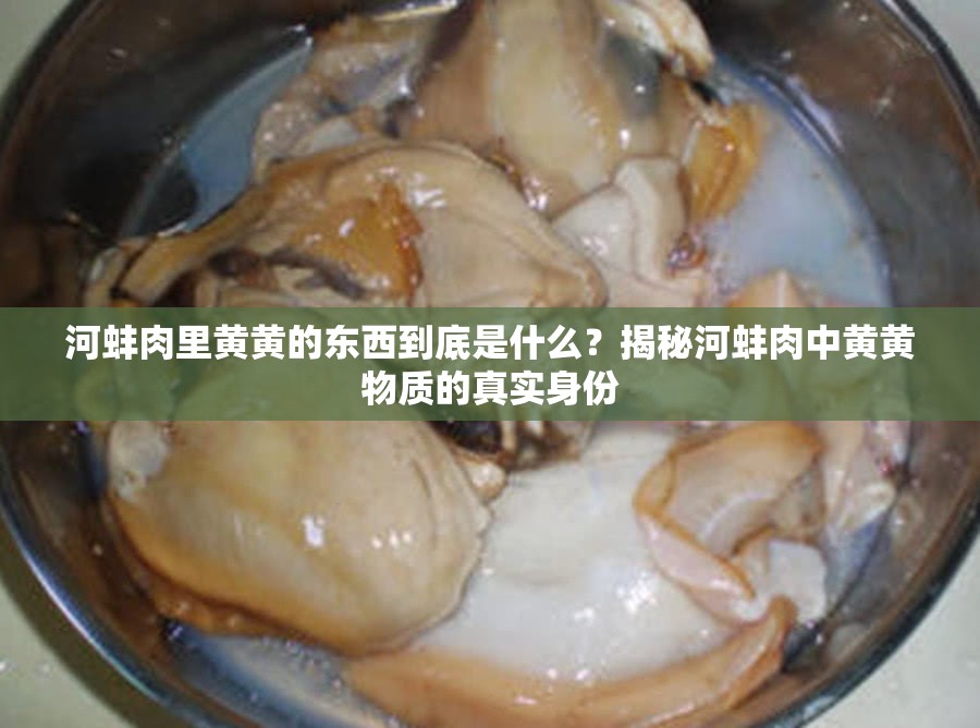 河蚌肉里黄黄的东西到底是什么？揭秘河蚌肉中黄黄物质的真实身份