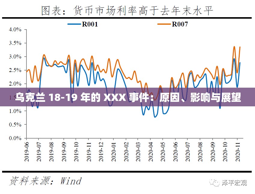 乌克兰 18-19 年的 XXX 事件：原因、影响与展望