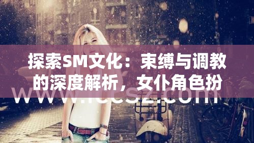 探索SM文化：束缚与调教的深度解析，女仆角色扮演中的虐乳现象及其心理影响