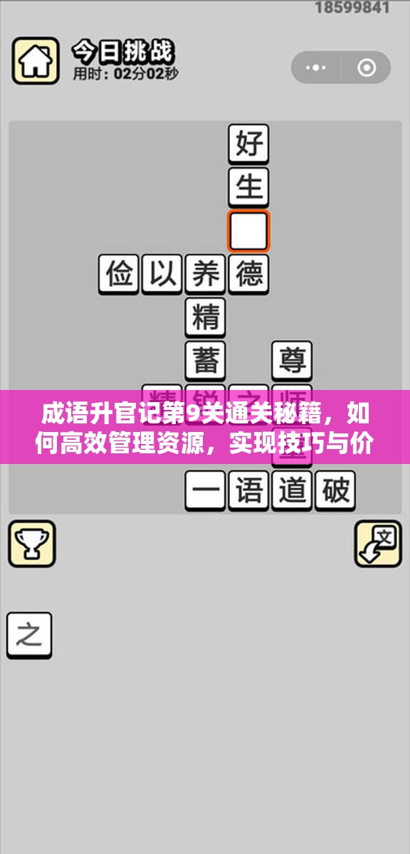 成语升官记第9关通关秘籍，如何高效管理资源，实现技巧与价值最大化？