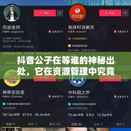 抖音公子在等谁的神秘出处，它在资源管理中究竟有何应用？