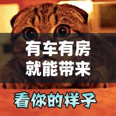 有车有房就能带来幸福？探索斗图表情包背后的演变悬念