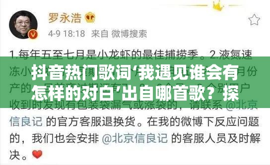 抖音热门歌词‘我遇见谁会有怎样的对白’出自哪首歌？探讨其在资源管理中的应用策略