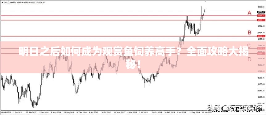 明日之后如何成为观赏鱼饲养高手？全面攻略大揭秘！