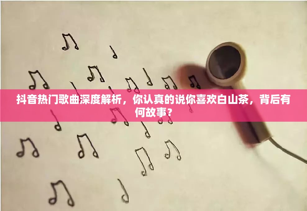 抖音热门歌曲深度解析，你认真的说你喜欢白山茶，背后有何故事？