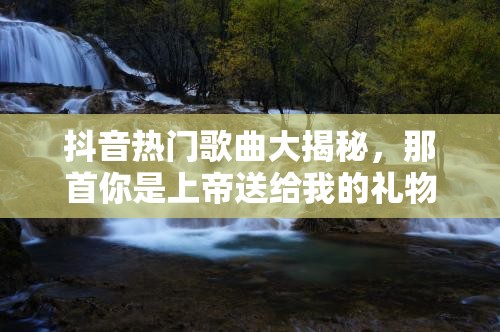 抖音热门歌曲大揭秘，那首你是上帝送给我的礼物究竟是什么歌？