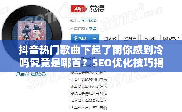 抖音热门歌曲下起了雨你感到冷吗究竟是哪首？SEO优化技巧揭秘