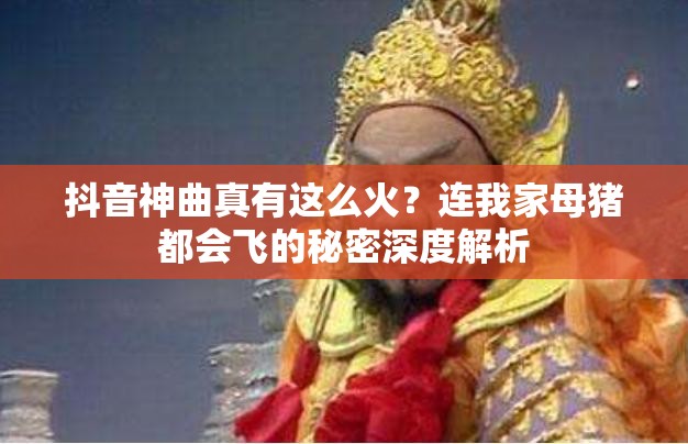 抖音神曲真有这么火？连我家母猪都会飞的秘密深度解析