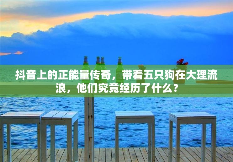 抖音上的正能量传奇，带着五只狗在大理流浪，他们究竟经历了什么？